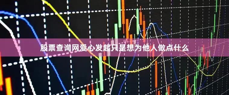 股票查询网爱心发起只是想为他人做点什么