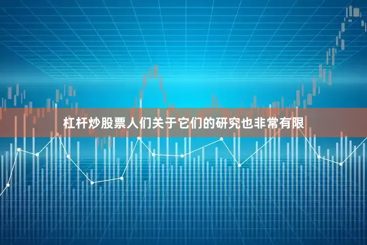 杠杆炒股票人们关于它们的研究也非常有限