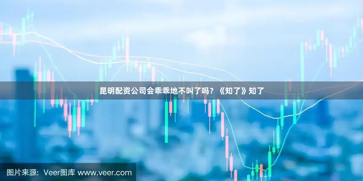 昆明配资公司会乖乖地不叫了吗？《知了》知了