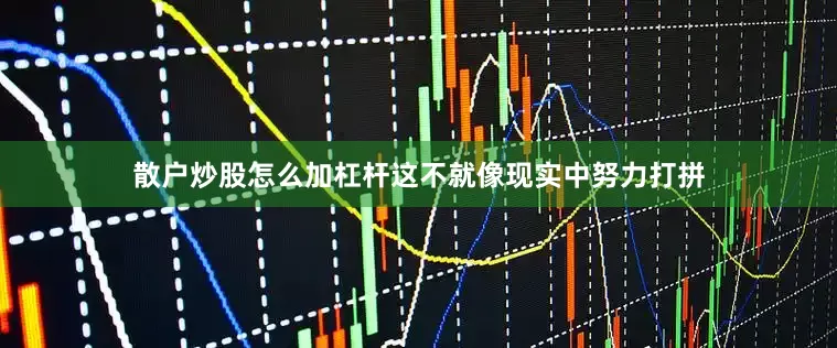 散户炒股怎么加杠杆这不就像现实中努力打拼